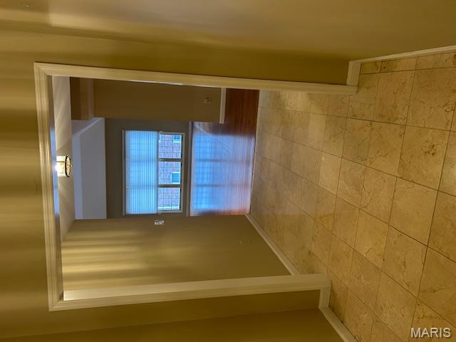 567 Sarah Lane, Unit 301 Creve Coeur, MO 63141 - Photo 29 of 41