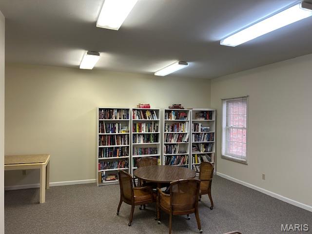 567 Sarah Lane, Unit 301 Creve Coeur, MO 63141 - Photo 34 of 41