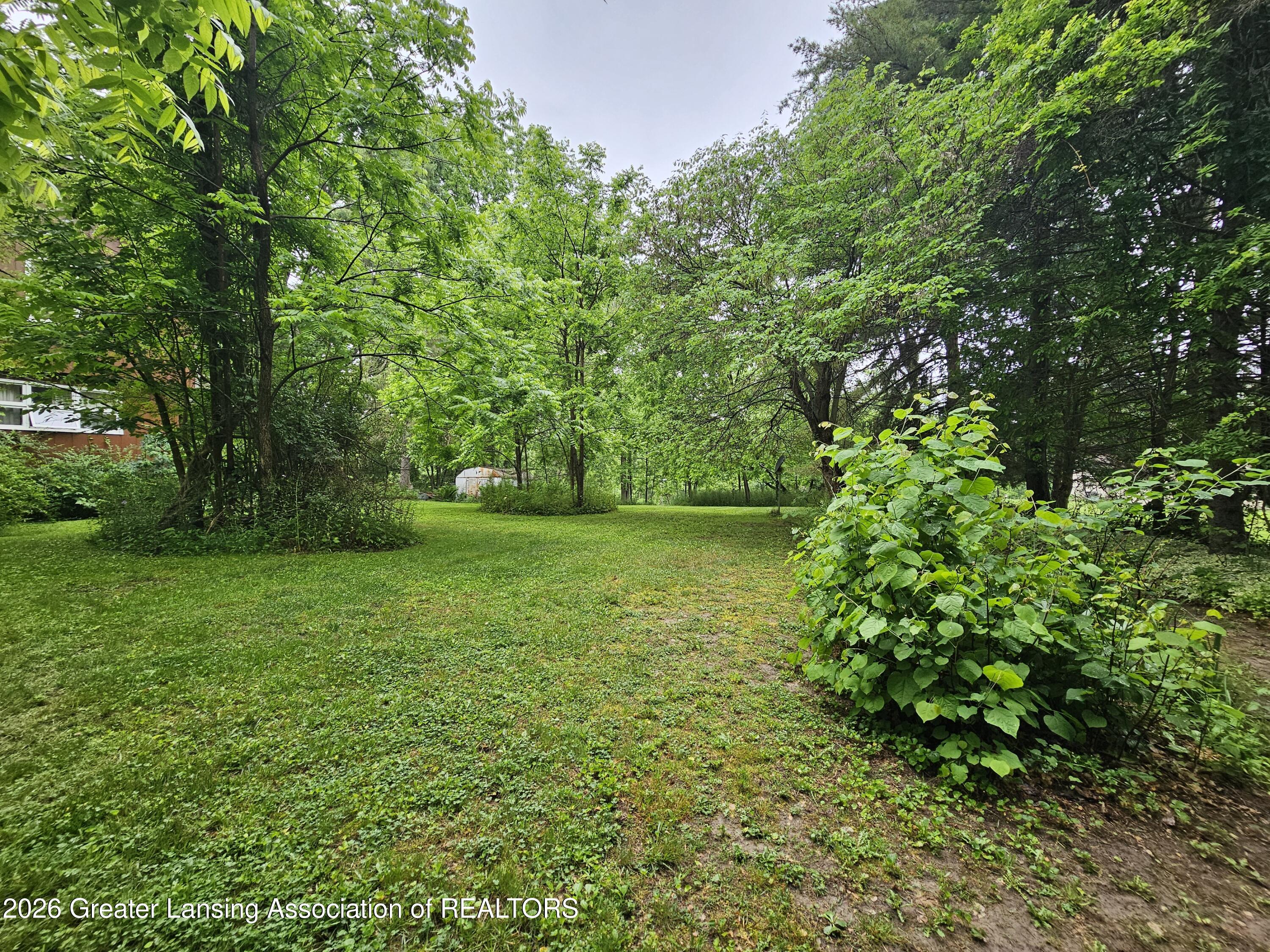 14540 South Wacousta Road Grand Ledge, MI 48837 - Photo 36 of 48 Yard