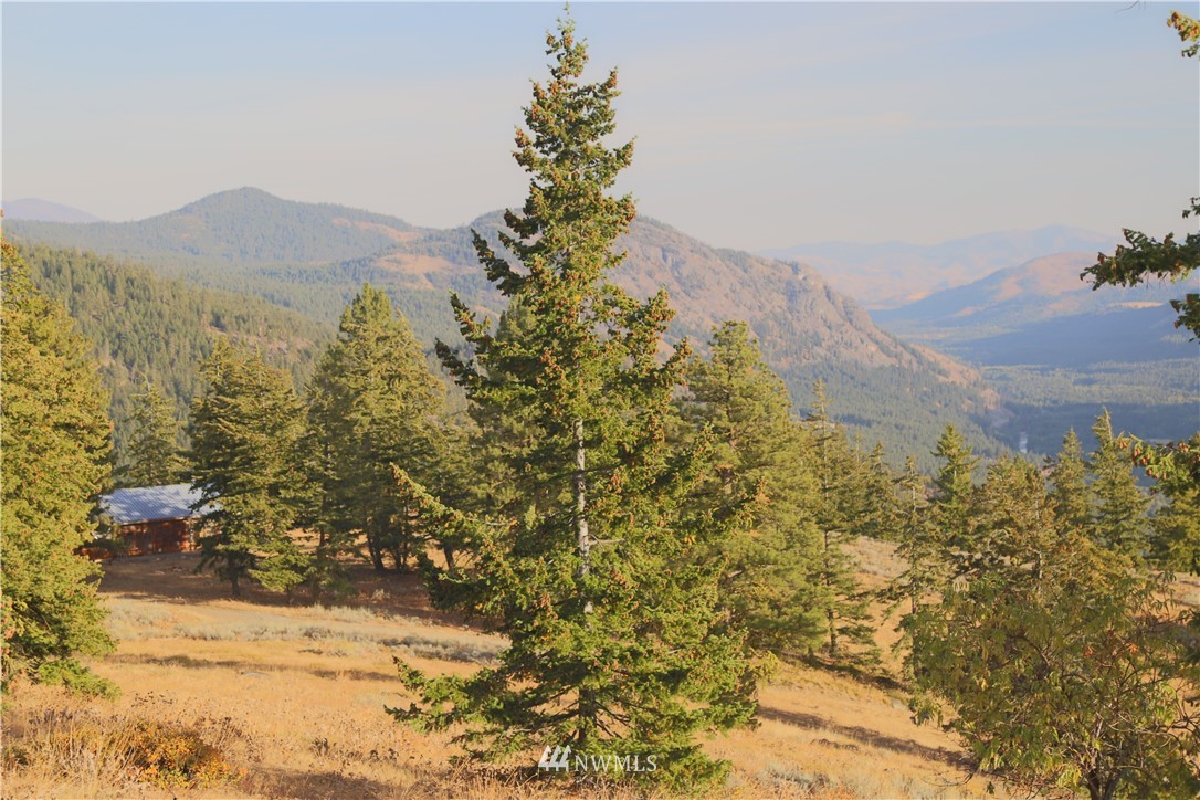 95 Flagg Mountain Loop Mazama, WA 98833 - Photo 2 of 25