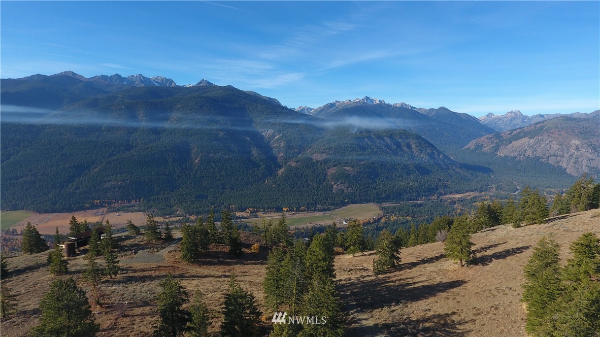 95 Flagg Mountain Loop Mazama, WA 98833 - Photo 12 of 25