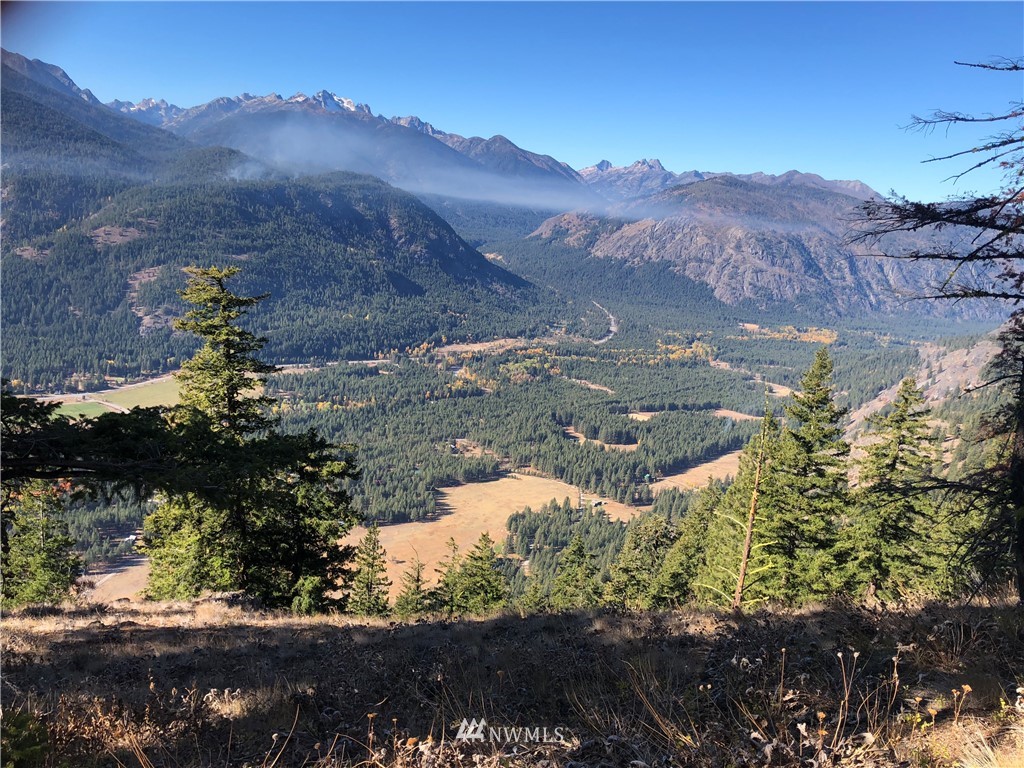 95 Flagg Mountain Loop Mazama, WA 98833 - Photo 13 of 25