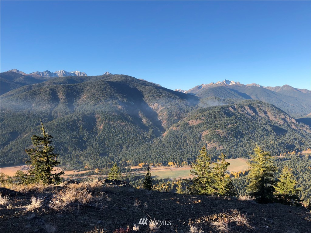 95 Flagg Mountain Loop Mazama, WA 98833 - Photo 14 of 25