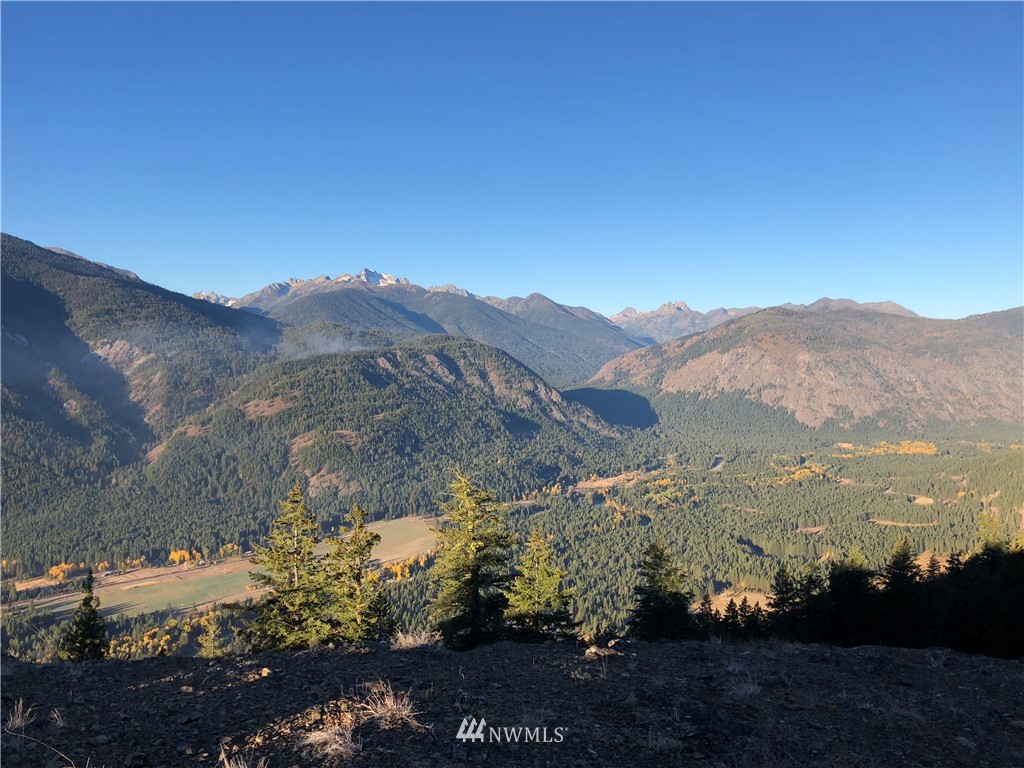 95 Flagg Mountain Loop Mazama, WA 98833 - Photo 15 of 25