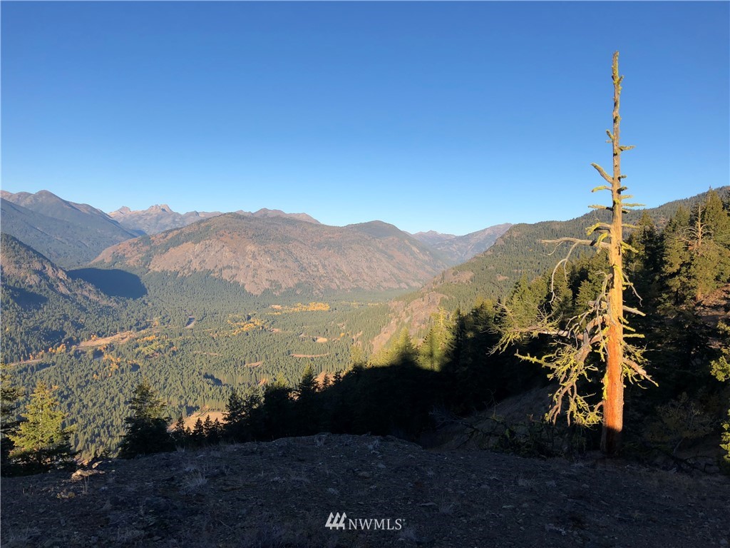 95 Flagg Mountain Loop Mazama, WA 98833 - Photo 16 of 25