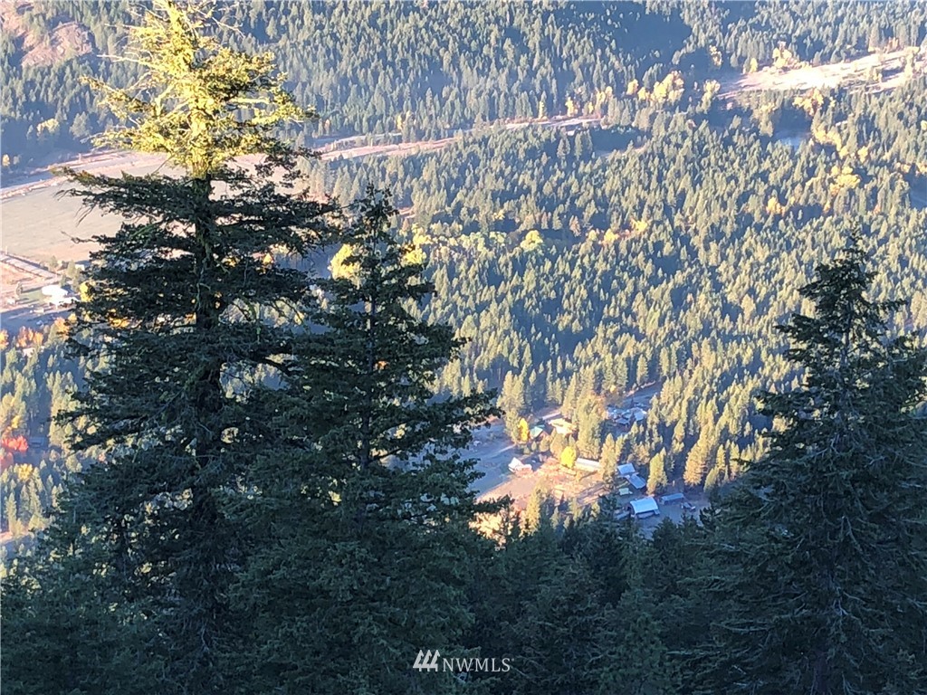 95 Flagg Mountain Loop Mazama, WA 98833 - Photo 19 of 25