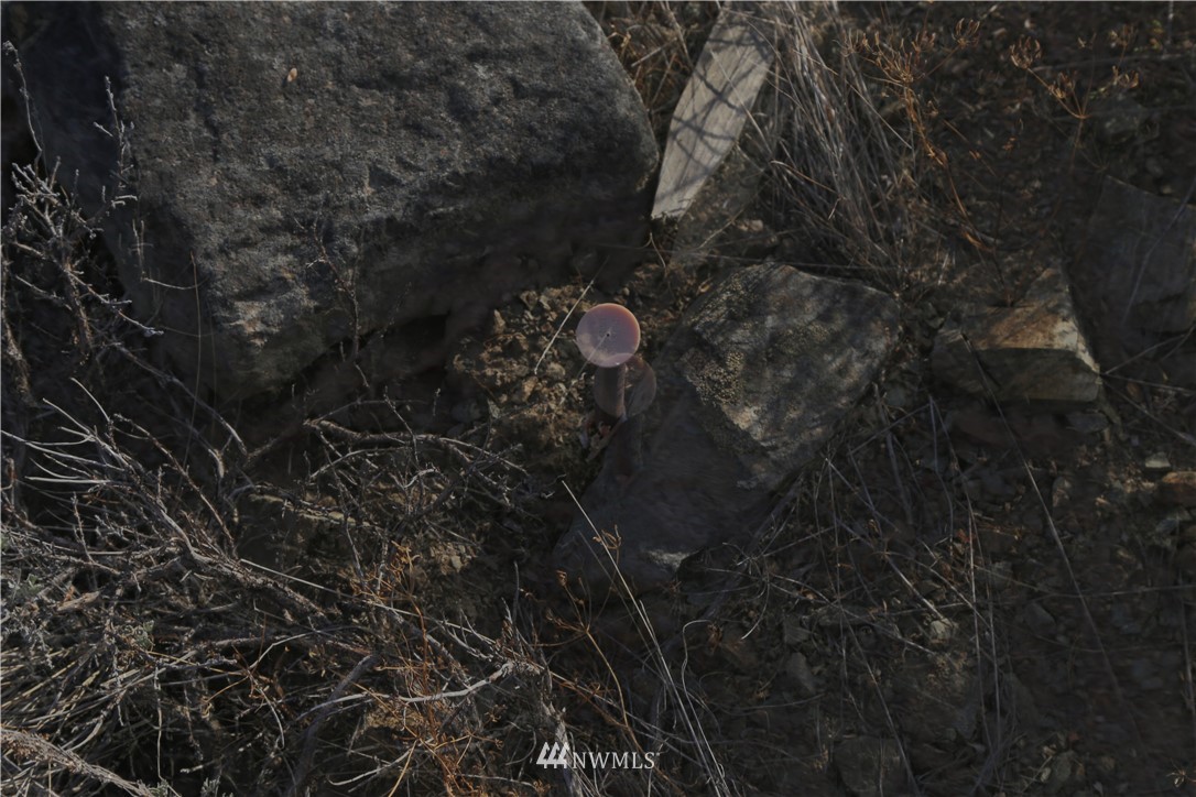 95 Flagg Mountain Loop Mazama, WA 98833 - Photo 20 of 25