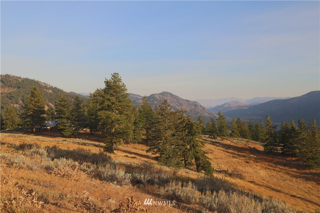 95 Flagg Mountain Loop Mazama, WA 98833 - Photo 3 of 25