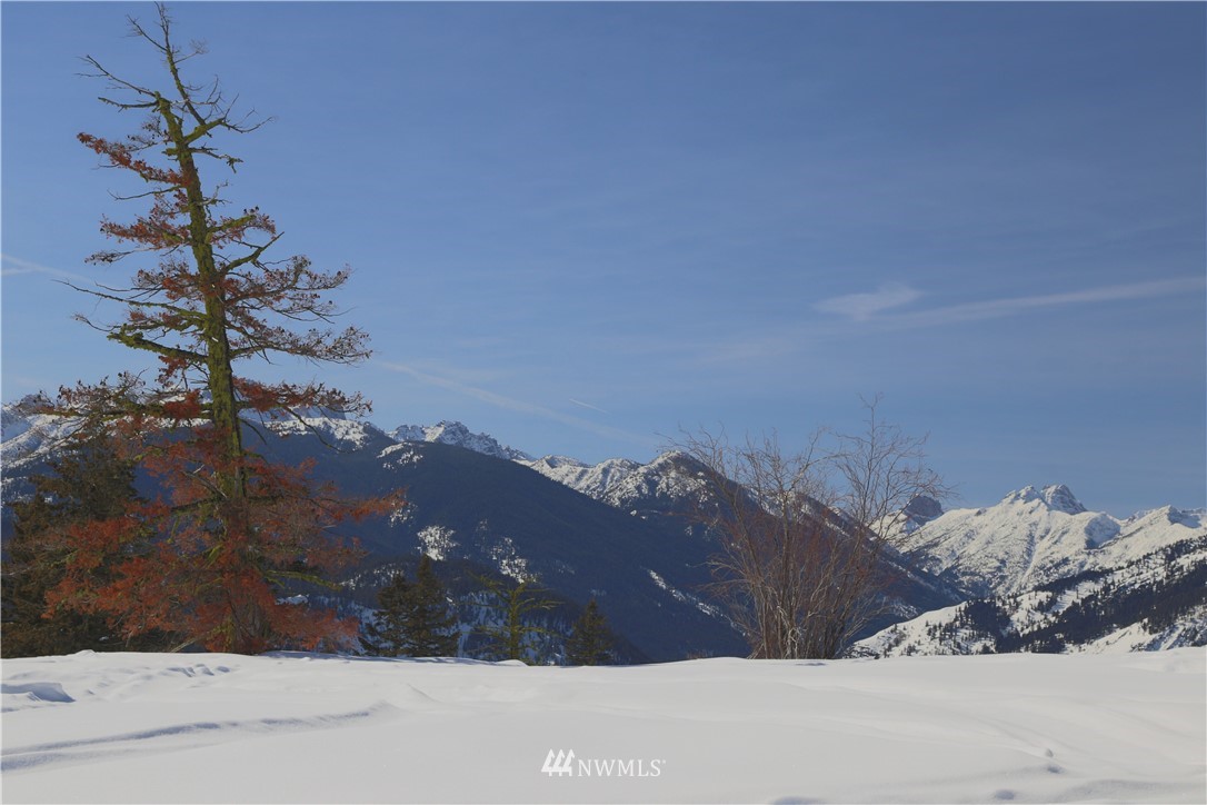 95 Flagg Mountain Loop Mazama, WA 98833 - Photo 23 of 25