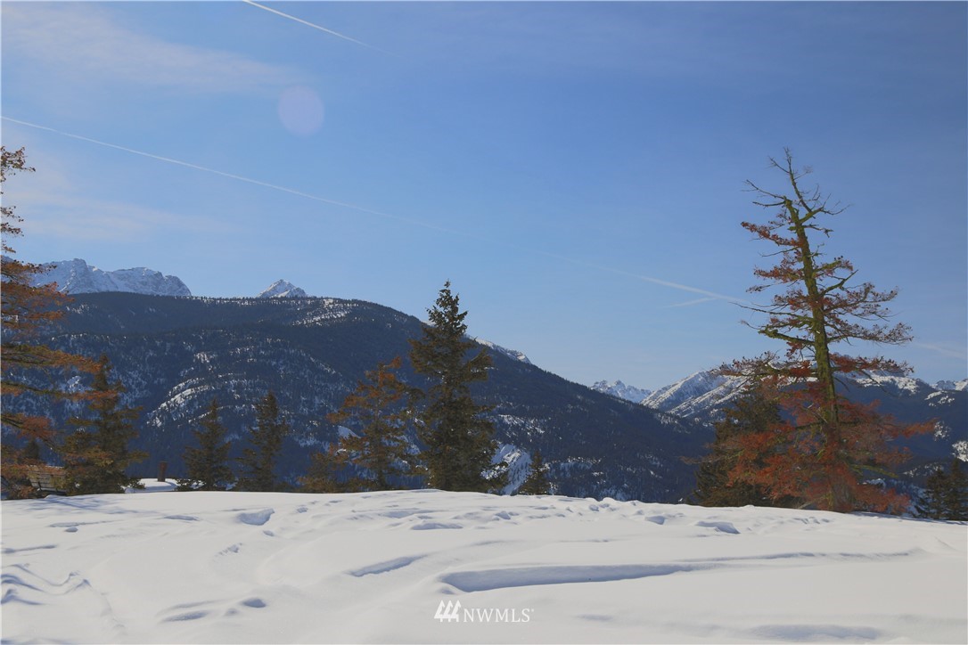 95 Flagg Mountain Loop Mazama, WA 98833 - Photo 24 of 25