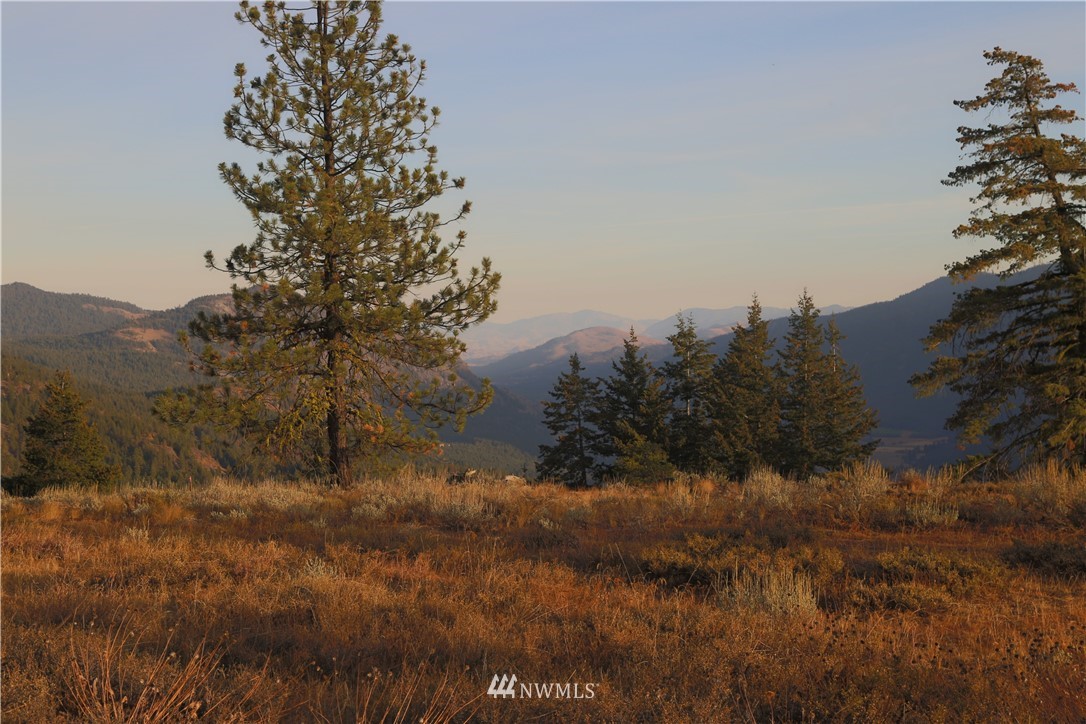 95 Flagg Mountain Loop Mazama, WA 98833 - Photo 4 of 25