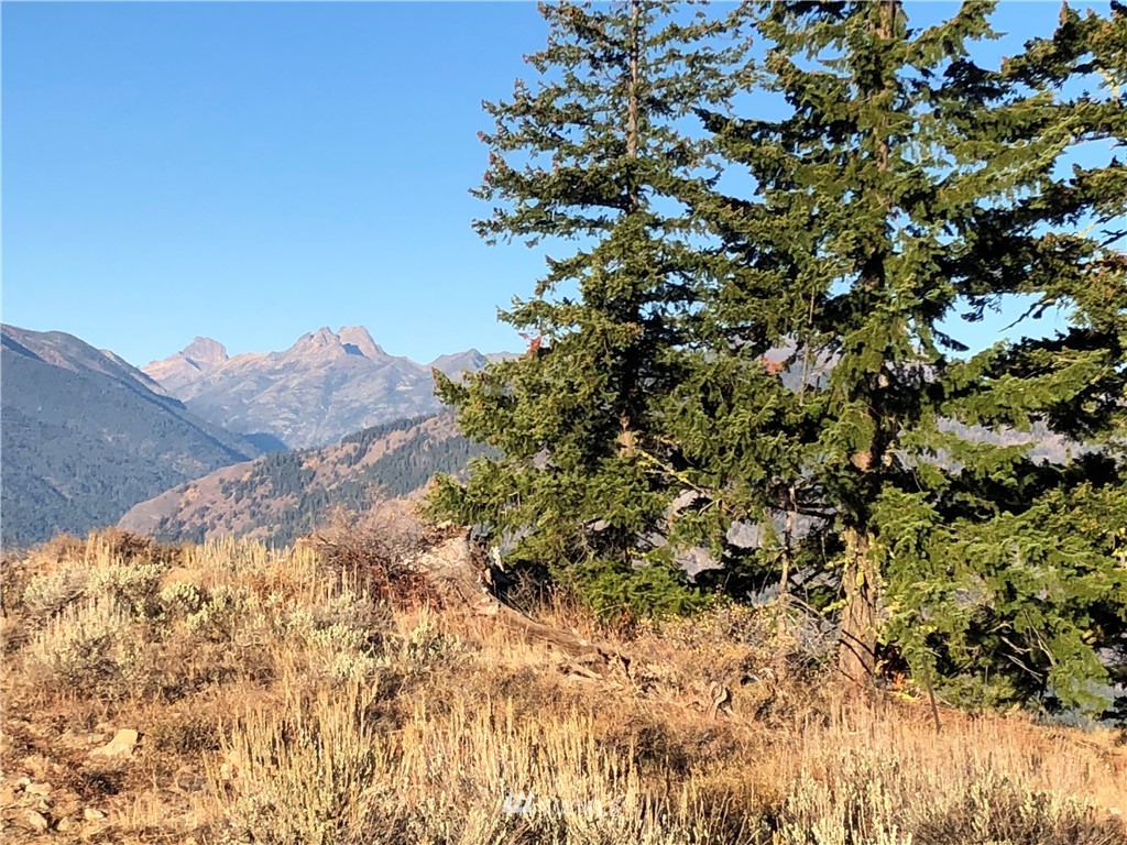 95 Flagg Mountain Loop Mazama, WA 98833 - Photo 5 of 25