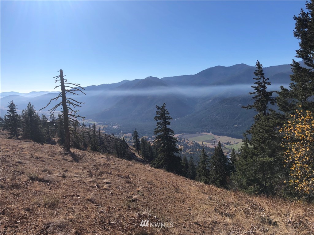 95 Flagg Mountain Loop Mazama, WA 98833 - Photo 6 of 25