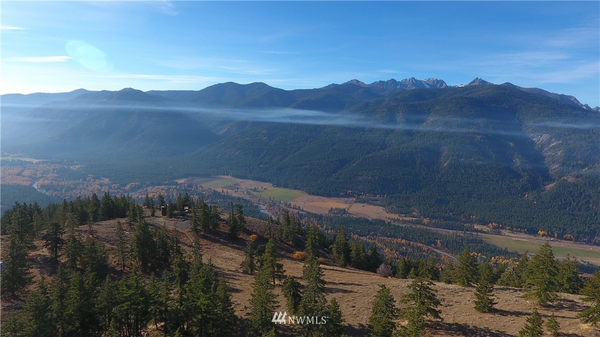 95 Flagg Mountain Loop Mazama, WA 98833 - Photo 7 of 25