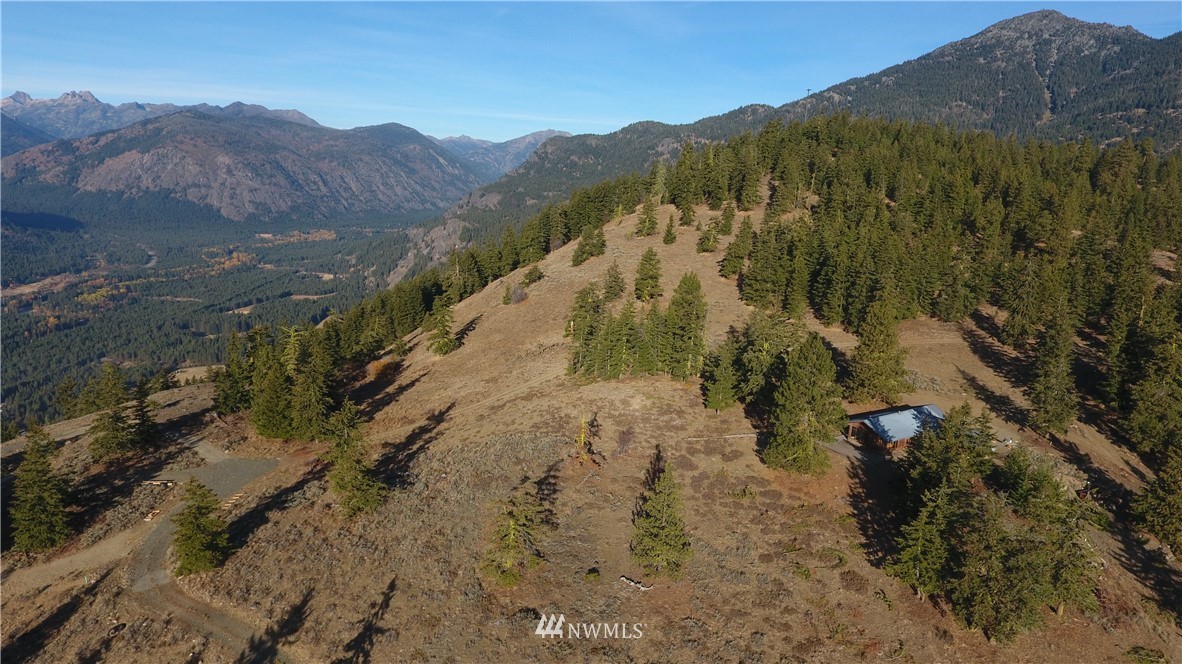 95 Flagg Mountain Loop Mazama, WA 98833 - Photo 9 of 25