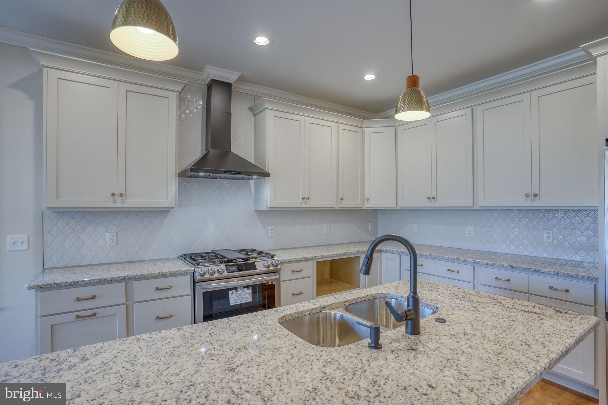 39 Doc Court Felton, DE 19943 - Photo 15 of 36 a kitchen with granite countertop a stove sink and cabinets