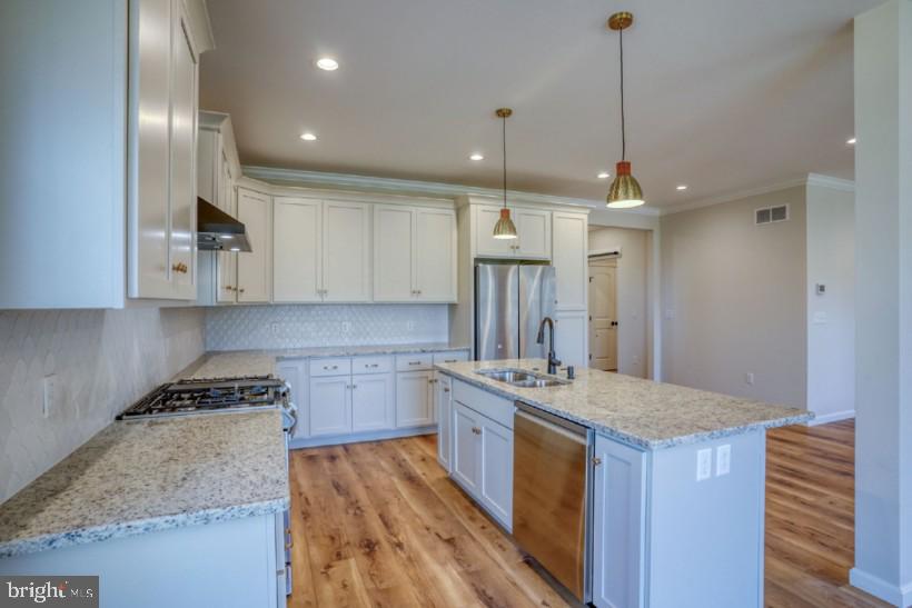 39 Doc Court Felton, DE 19943 - Photo 29 of 70 Premium smart appliances