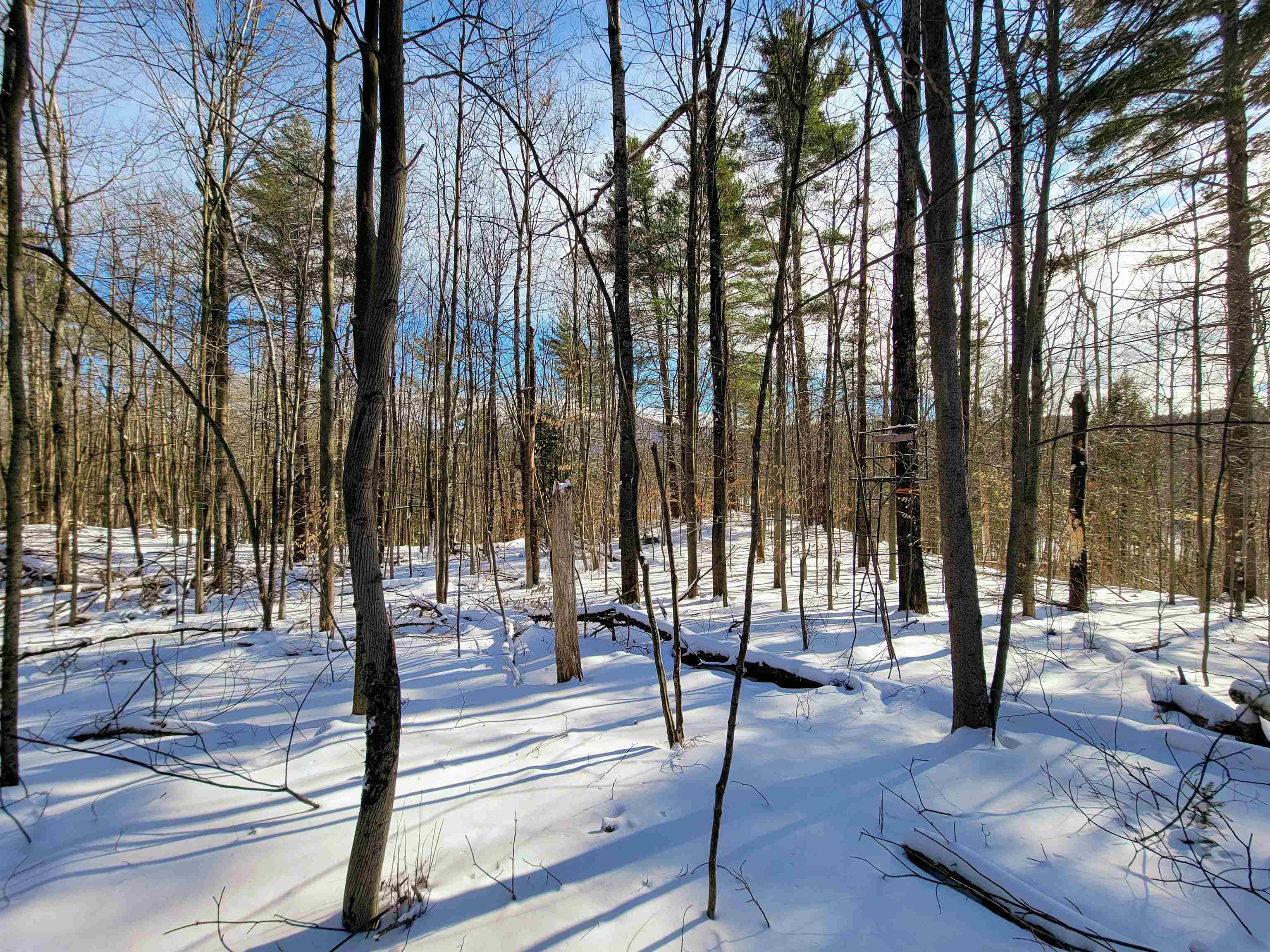 80 Carroll Road Waitsfield, VT 05673 - Photo 28 of 50 Gallery Image 28
