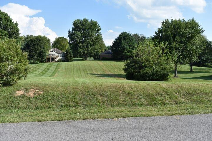 156 Old Bridge Road Danville, KY 40422 - Photo 4 of 7 Listing Photo