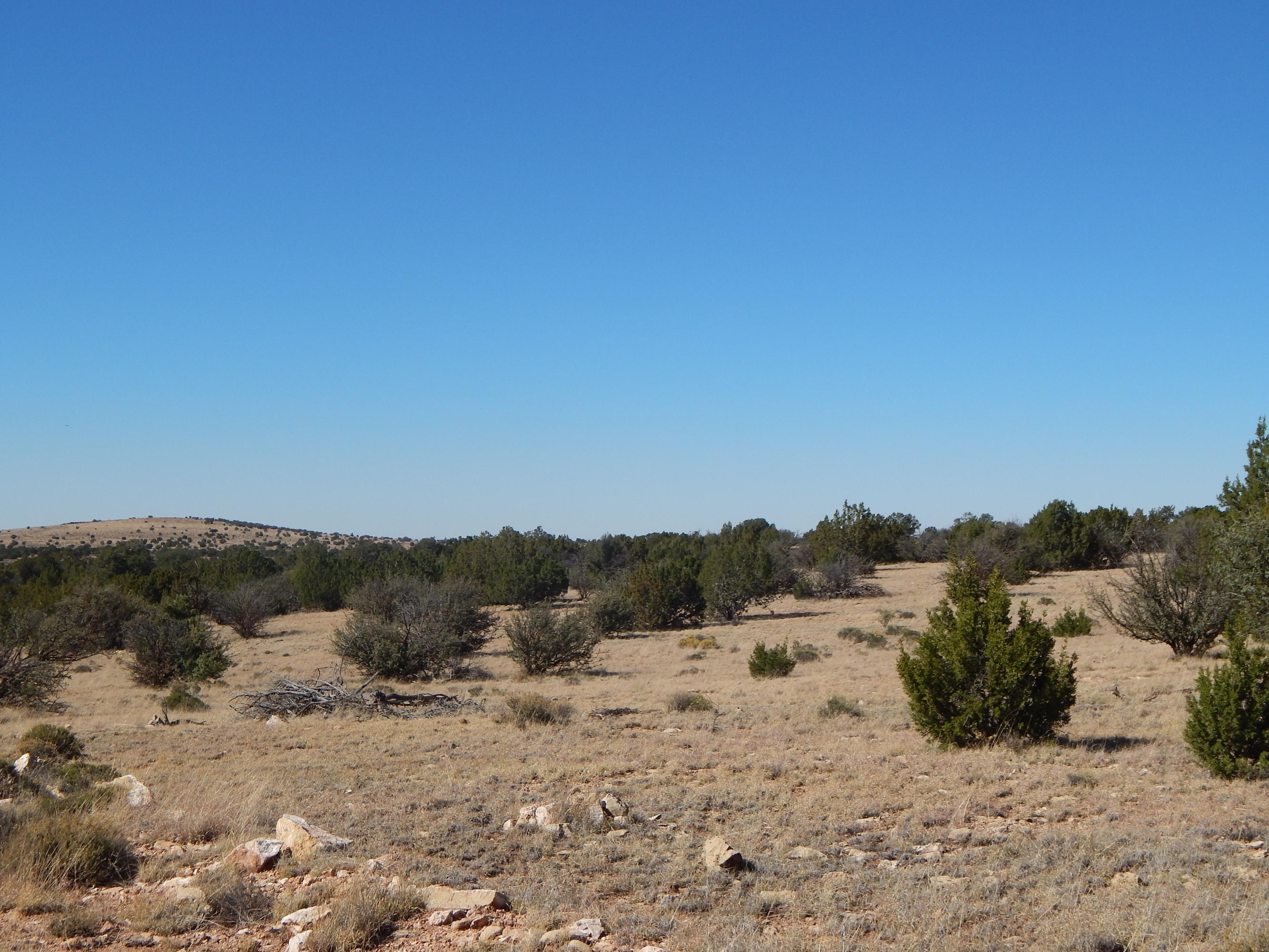 0 West Red Tie Road Williams, AZ 86046 - Photo 3 of 9 Property View