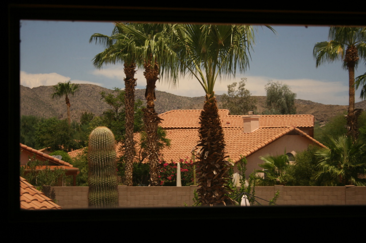 3014 East Amber Ridge Way Phoenix, AZ 85048 - Photo 19 of 19 v2