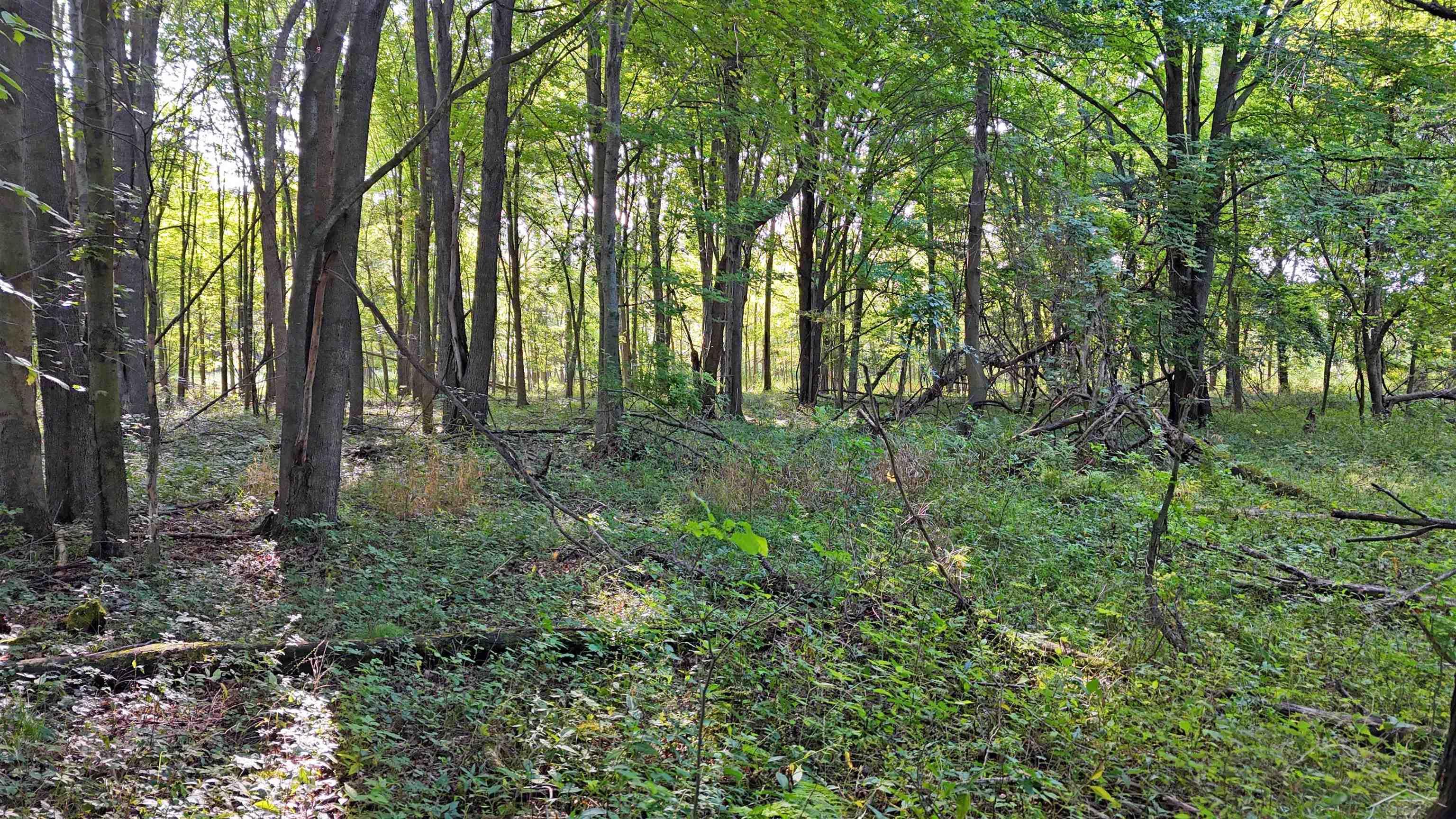 Baldwin Road Chesaning, MI 48616 - Photo 11 of 13