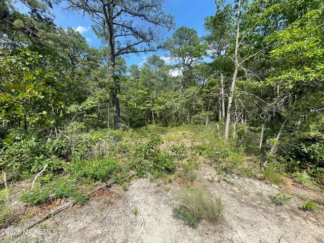 a big yard with lots of green space and bushes