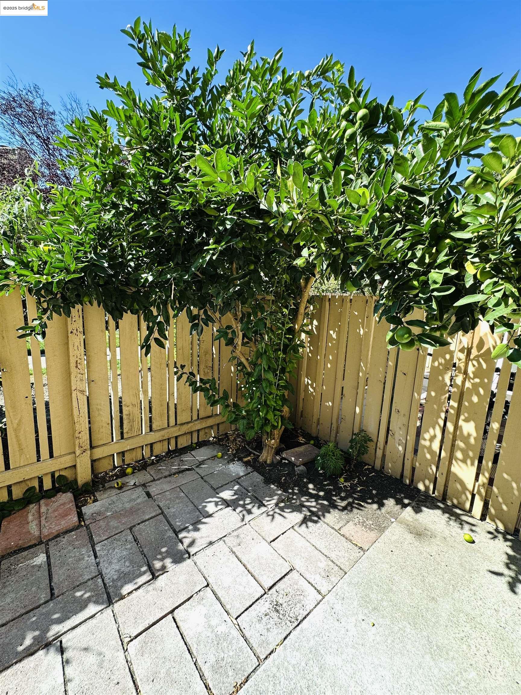 9005 Alcosta Boulevard, Unit 189 San Ramon, CA 94583 - Photo 18 of 20 a view of backyard with pathway