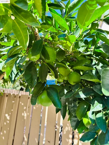 a side view of a house with a wooden fence