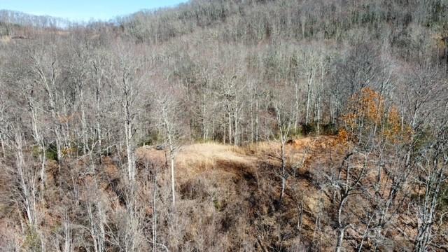 Lot 11 Rushing Falls Way Sylva, NC 28779 - Photo 11 of 15 Gallery Image 11