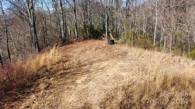 Lot 11 Rushing Falls Way Sylva, NC 28779 - Photo 14 of 15 Gallery Image 14