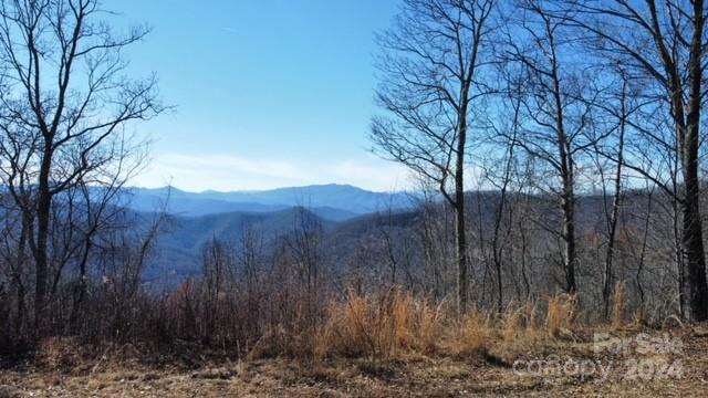 Lot 11 Rushing Falls Way Sylva, NC 28779 - Photo 15 of 15 Gallery Image 15