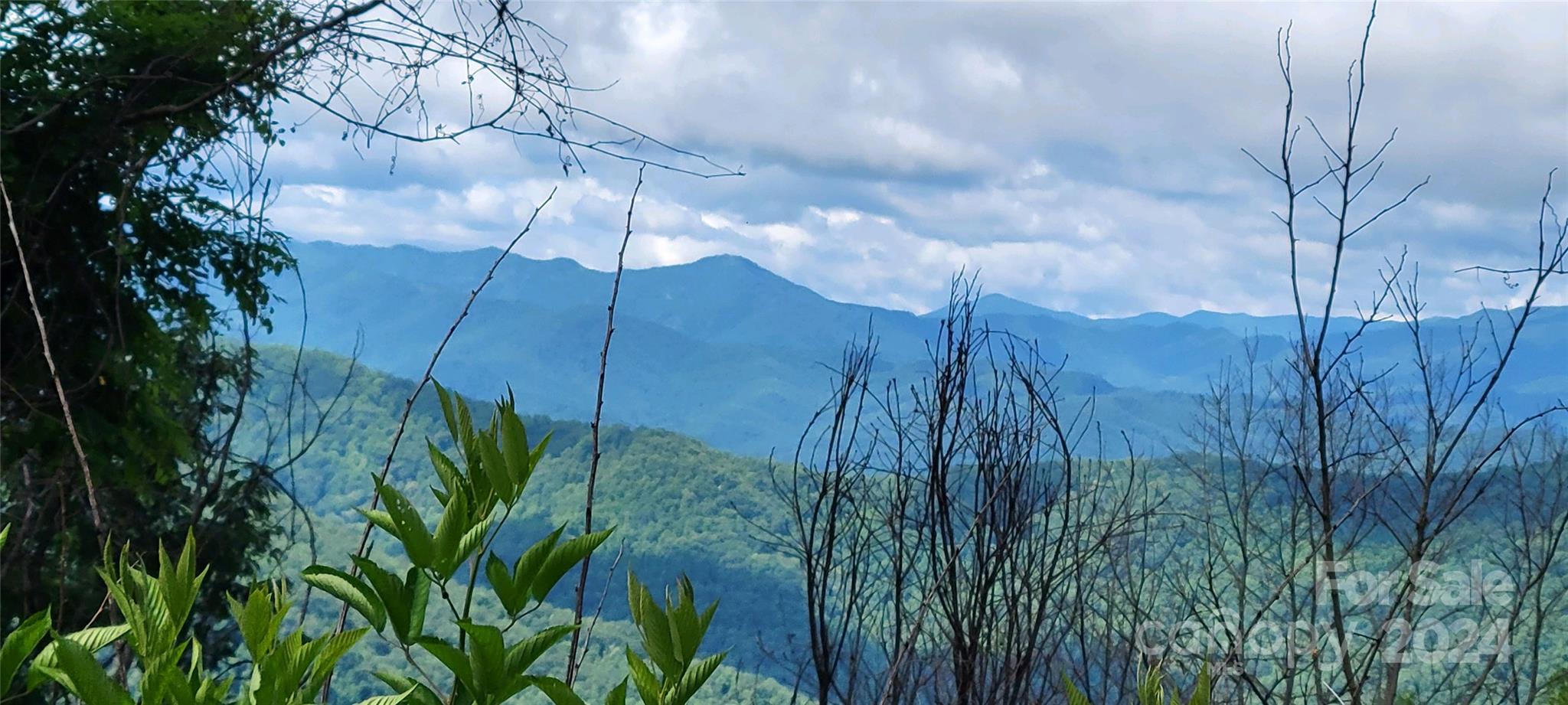 Lot 11 Rushing Falls Way Sylva, NC 28779 - Photo 2 of 15 Gallery Image 2