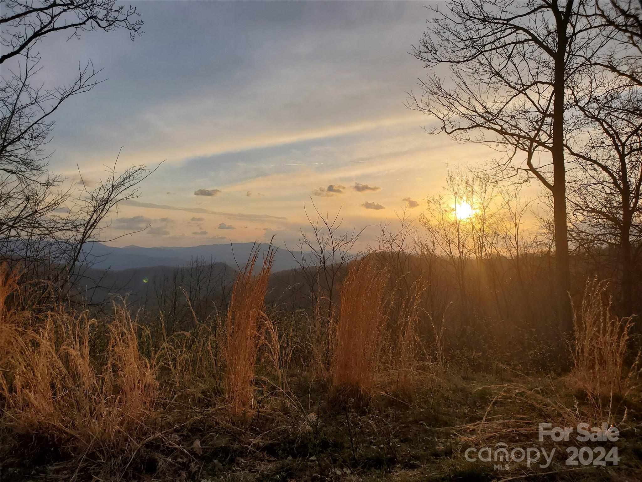 Lot 11 Rushing Falls Way Sylva, NC 28779 - Photo 3 of 15 Gallery Image 3
