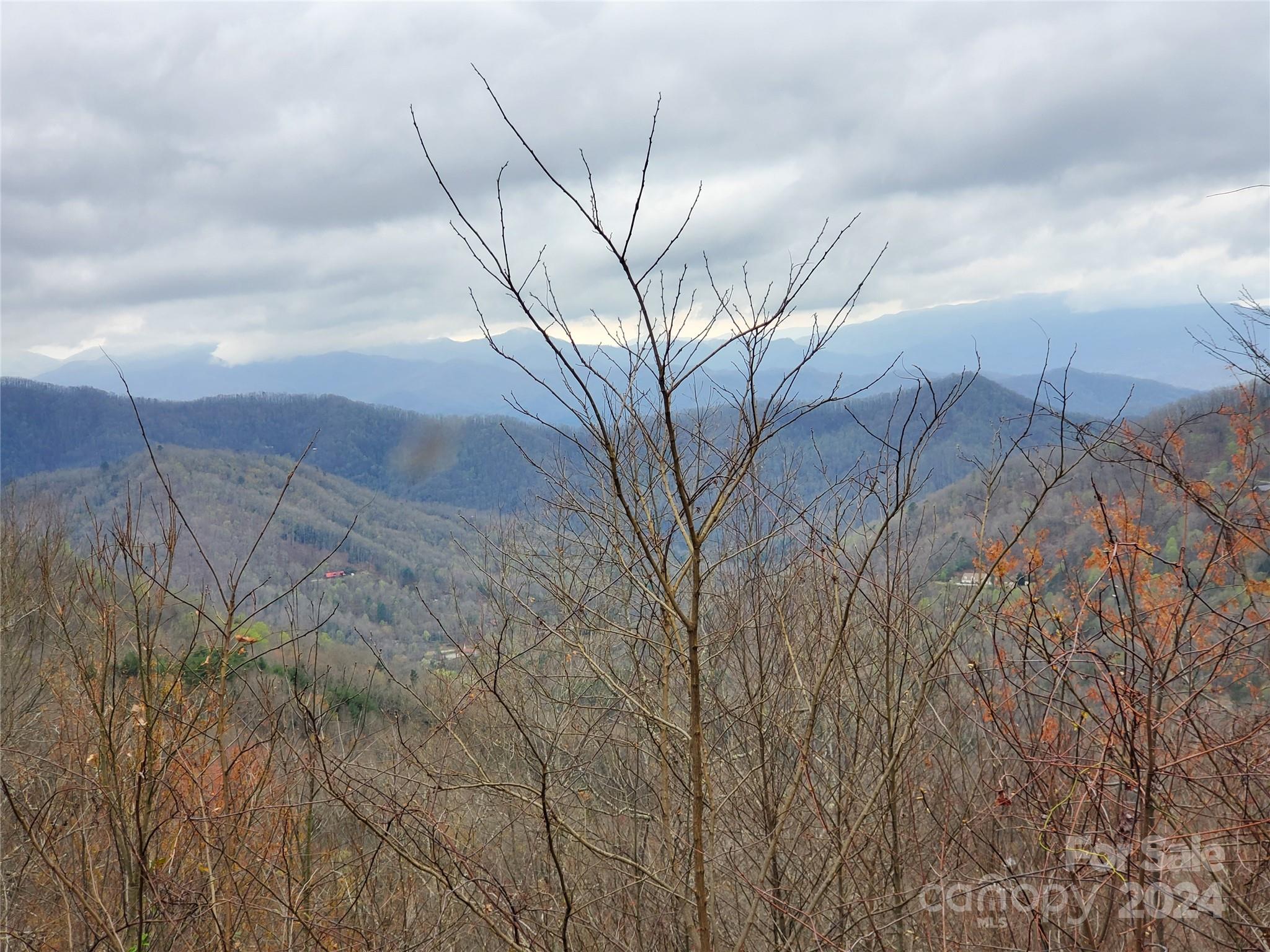 Lot 11 Rushing Falls Way Sylva, NC 28779 - Photo 4 of 15 Gallery Image 4