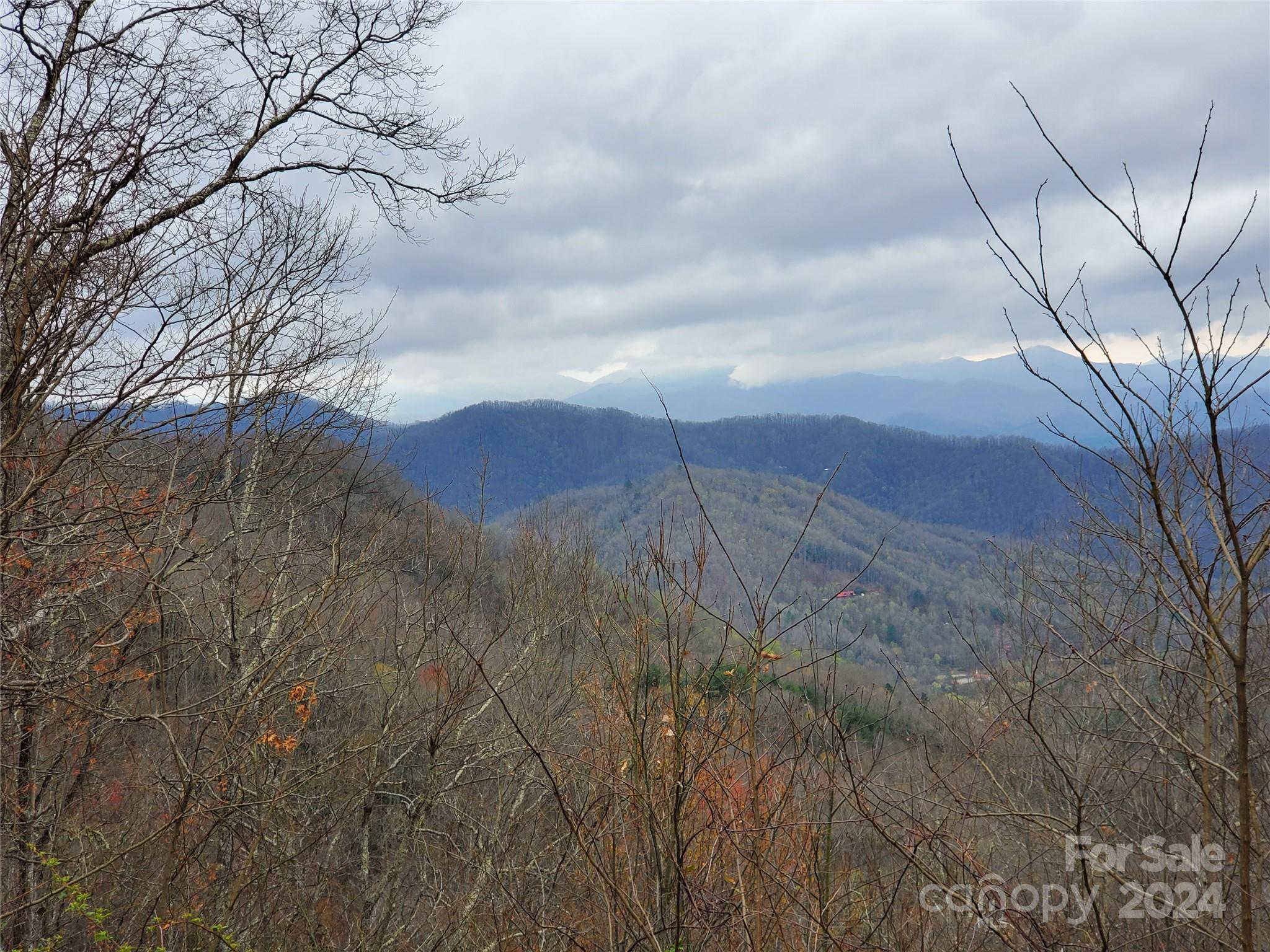 Lot 11 Rushing Falls Way Sylva, NC 28779 - Photo 5 of 15 Gallery Image 5