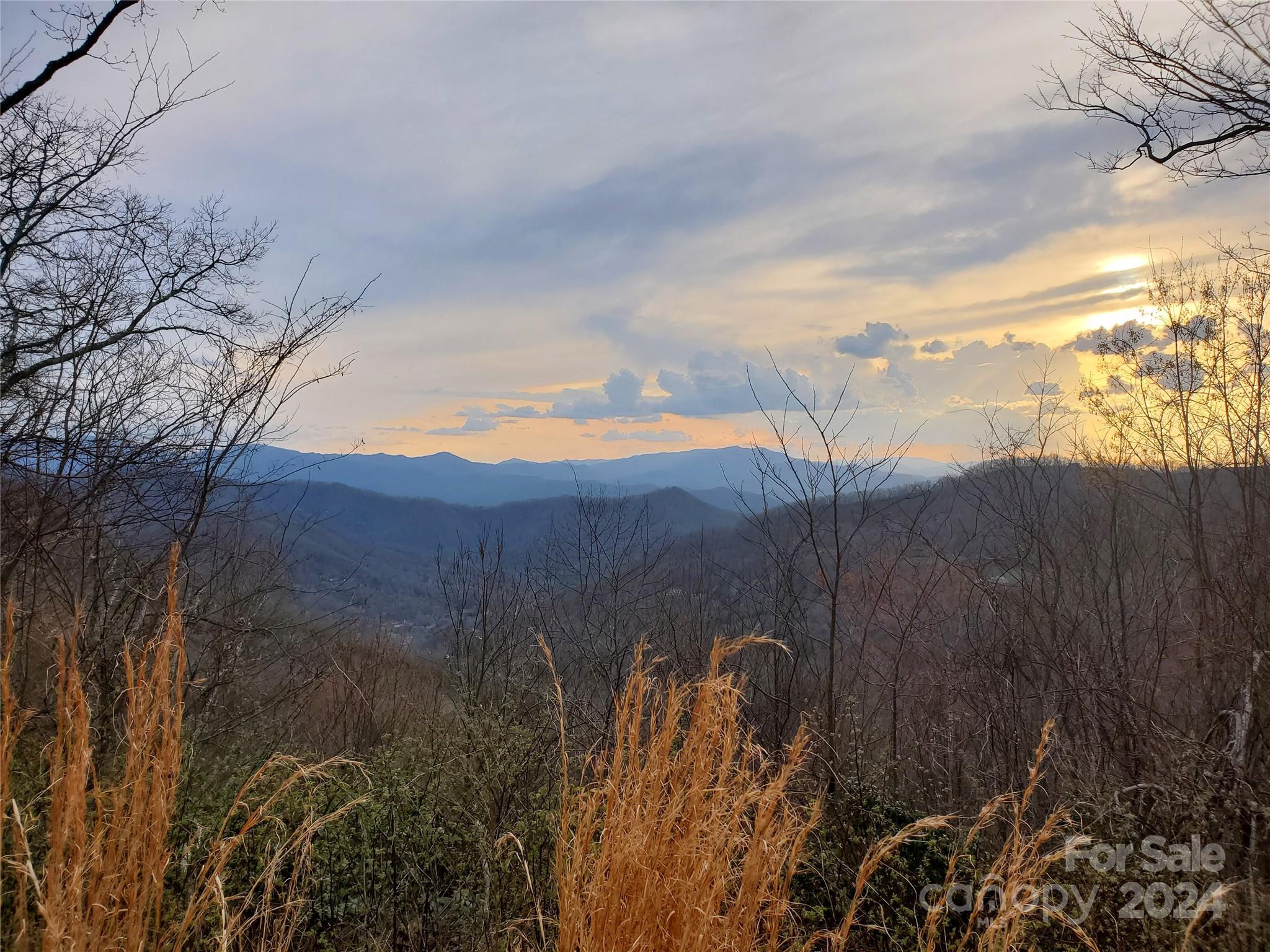 Lot 11 Rushing Falls Way Sylva, NC 28779 - Photo 8 of 15 Gallery Image 8