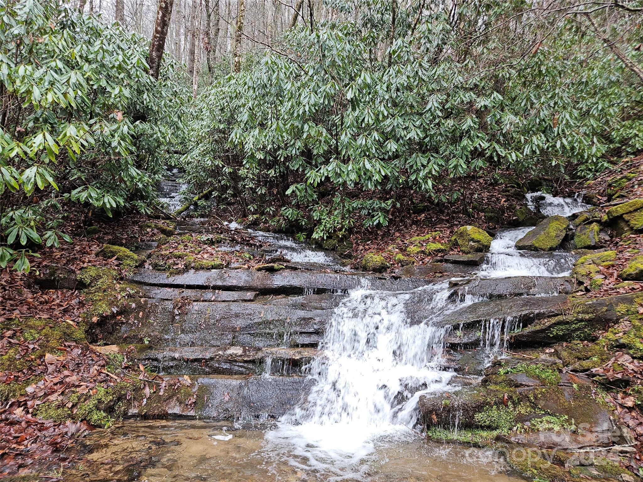 Lot 11 Rushing Falls Way Sylva, NC 28779 - Photo 10 of 15 Gallery Image 10