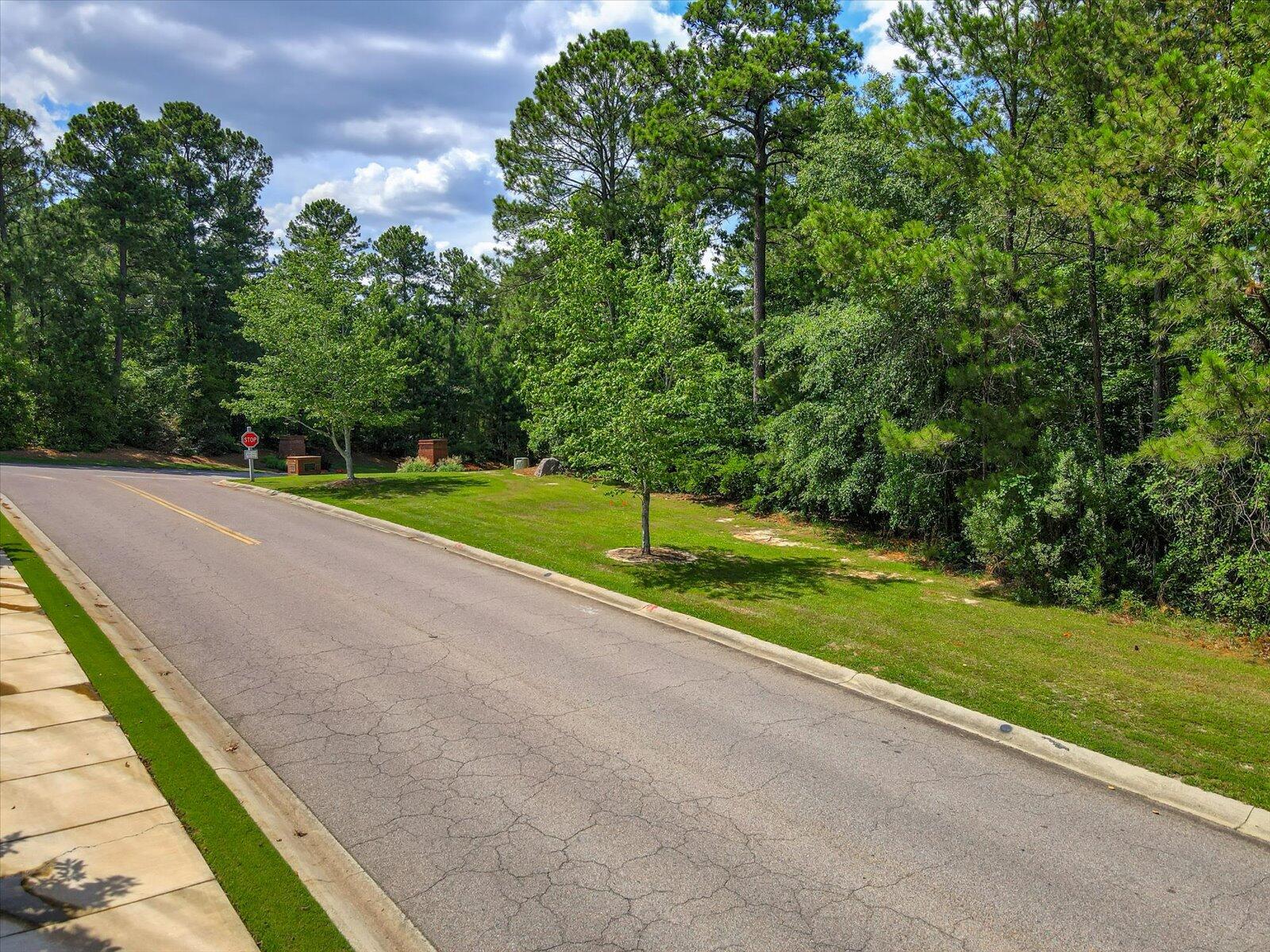 Lot 1 Steeplechase Road Aiken, SC 29803 - Photo 16 of 19 Gallery Image 16