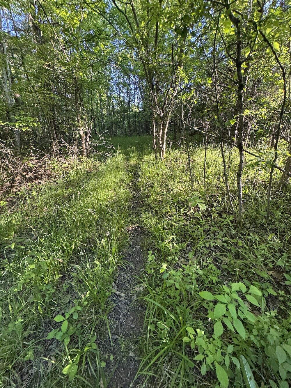 Vl Melcher Road Prescott, MI 48756 - Photo 11 of 65 10