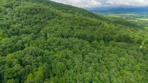 0 Henson Gap Road Cleveland, TN 37323 - Photo 12 of 21 a view of a lush green space