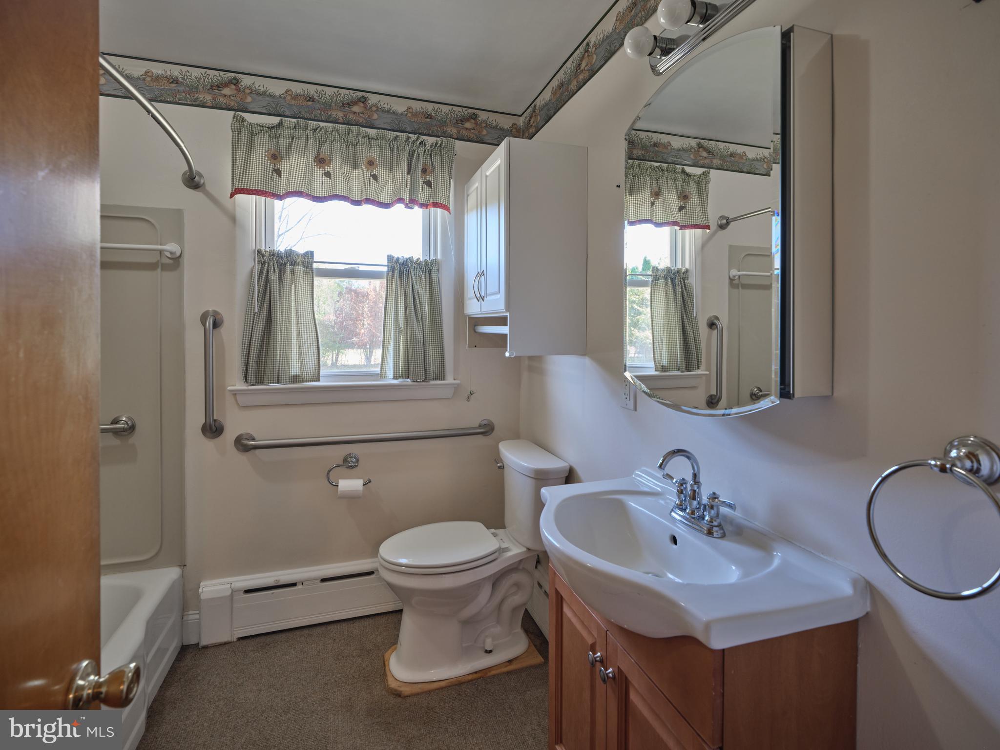 228 Iron Hill Road Doylestown, PA 18901 - Photo 22 of 33 a bathroom with a sink toilet a mirror and shower