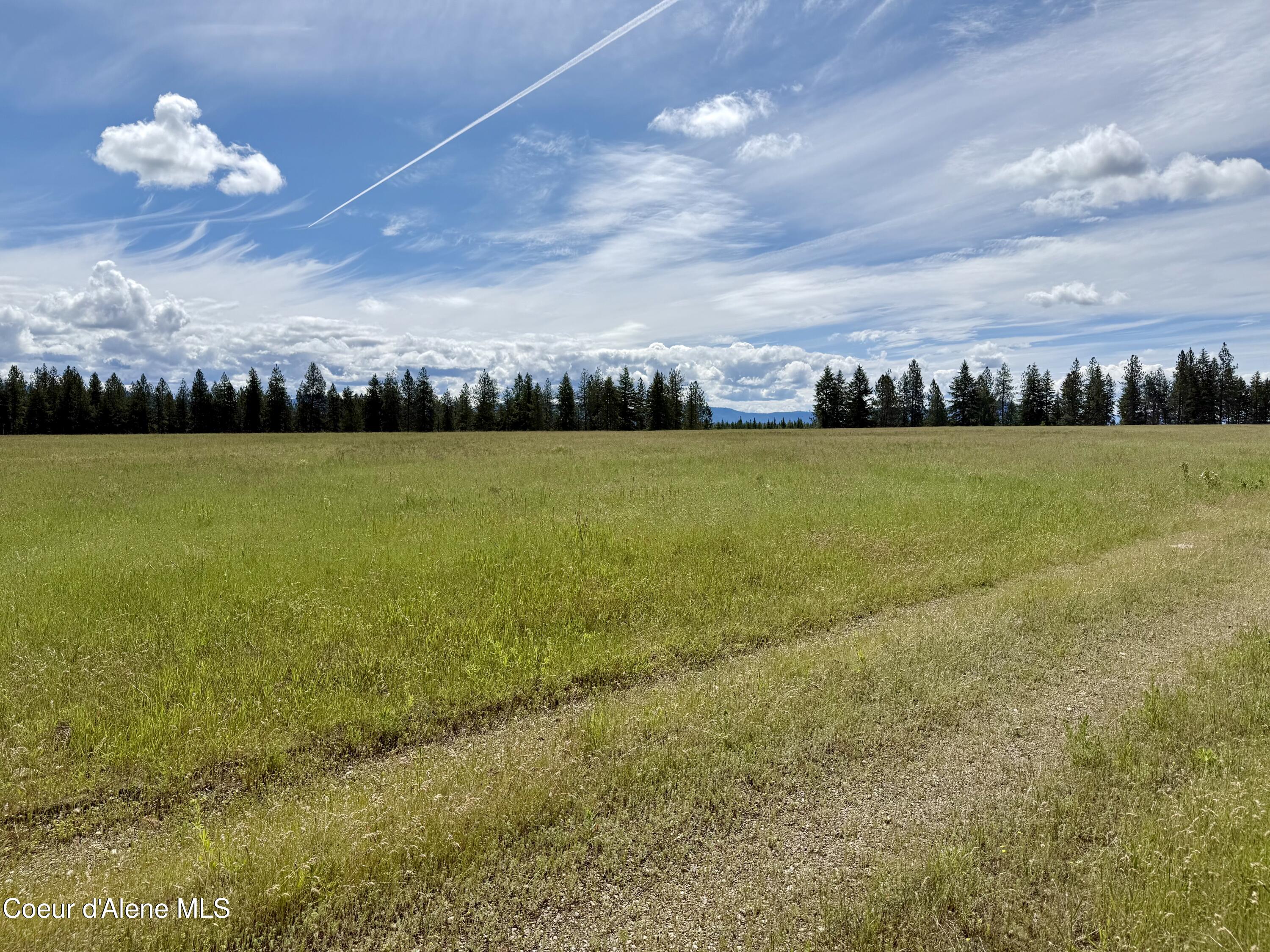 Lot 4 North Stonemason Way Rathdrum, ID 83858 - Photo 5 of 7 Open, level acreage.