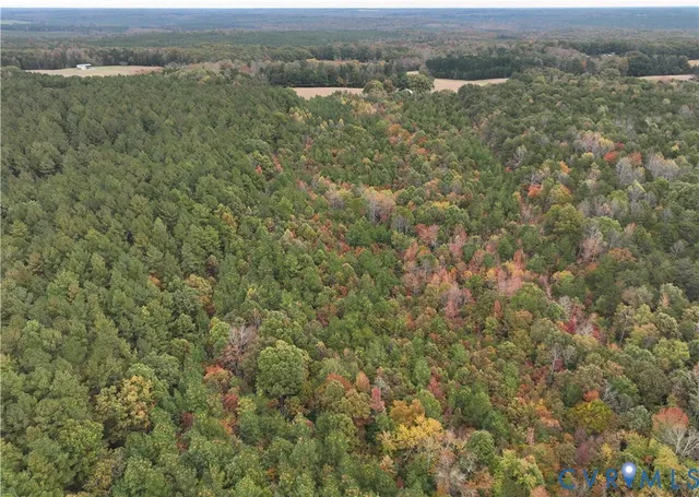 an aerial view of forest