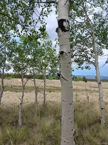 $159,000 | 258 Puma Lane, Jefferson, CO 80456