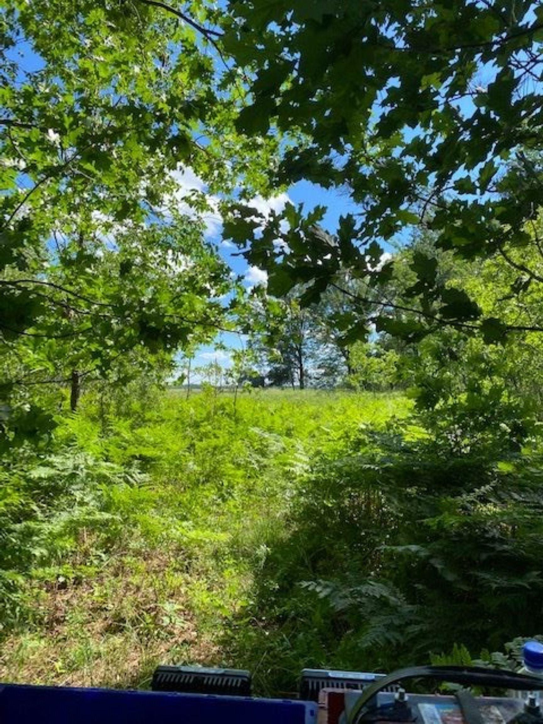 0 North Bowman Road Merritt, MI 49667 - Photo 6 of 24