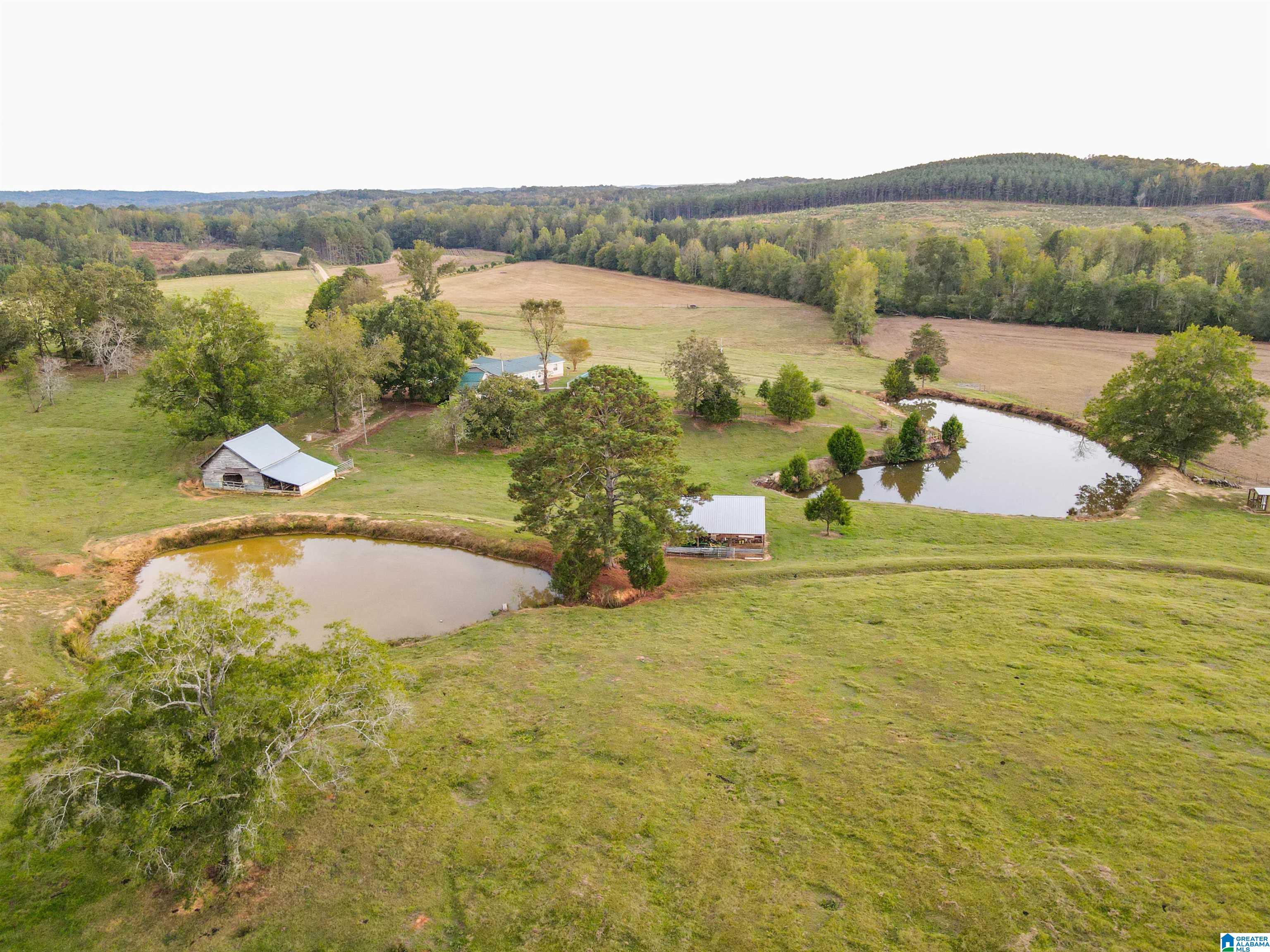 845 Turner Road Fayette, AL 35555 - Photo 38 of 61