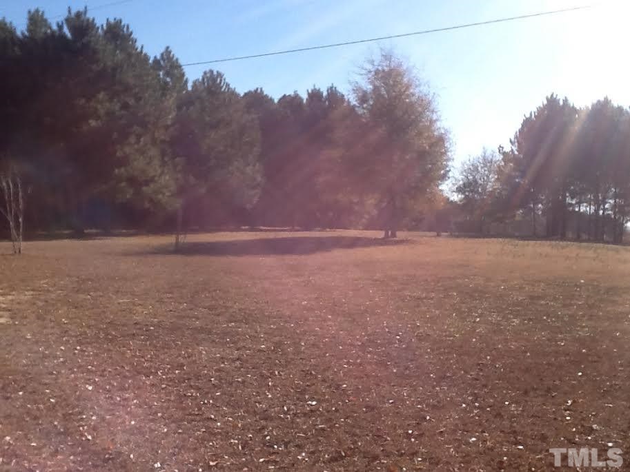 0 3 Bridge Road Dunn, NC 28334 - Photo 3 of 3 a view of a yard with a tree