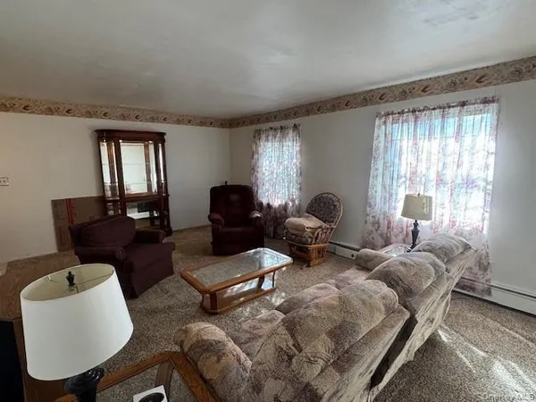 a living room with furniture rug and window