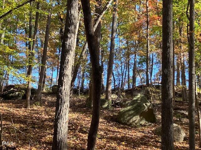 9 Buttonwood Lane Roxboro, NC 27574 - Photo 2 of 7 rocks 2